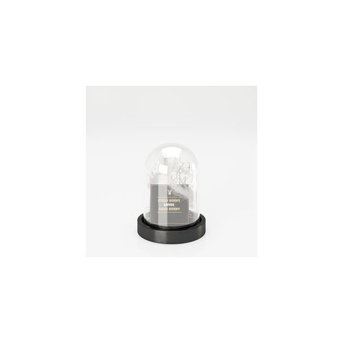PLAYBOYHOME PLAYBOY - Dekolampe "ANN" mit LED's, Federn und Grusskarte, abnehmbare Glocke aus Glas, batteriebetrieben, klein
