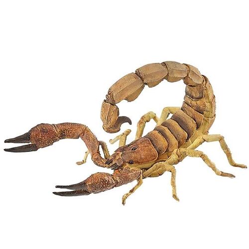 Papo Skorpion - H: 5 cm - Papo - One Size - Spielzeugtiere