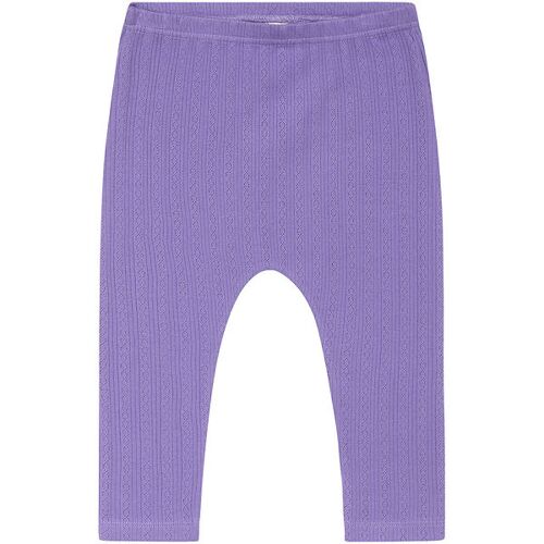 Noa Noa miniature Leggings – Pointelle Rib – Dory – Aster Purple – 62 – Noa Noa miniature Leggings