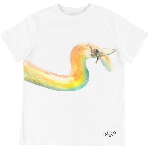 Molo T- Surf – Road – Rainbow – 6 Jahre (116) – Molo T-Shirt