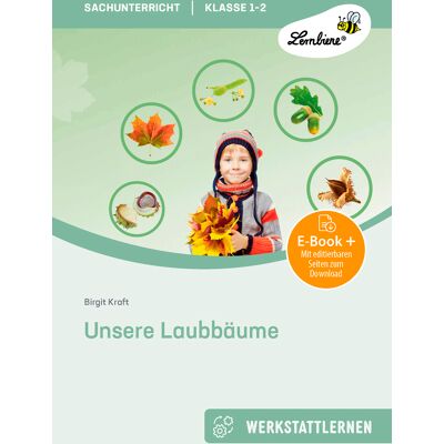 Lernbiene Unsere Laubbäume Lernbiene Unsere Laubbäume