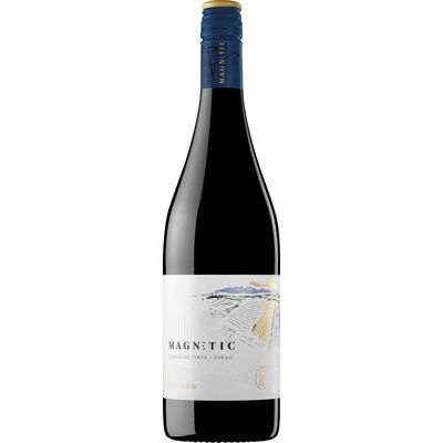 Magnetic Tinto 2025 Torres Magnetic Tinto 2025 Torres