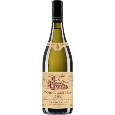 Pecorino IGT Terre di Chieti"Poggio Salaia" 2025 Torre Zambra Pecorino IGT Terre di Chieti"Poggio Salaia" 2025 Torre Zambra