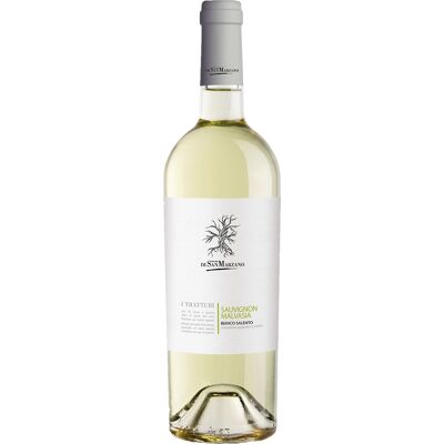 San Marzano Vini Tratturi Bianco Salento IGT 2024 - Weißwein San Marzano Vini Tratturi Bianco Salento IGT 2024 - Weißwein