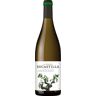 La Miranda de Secastilla Garnacha Blanca 2021 Vinas del Vero