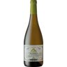 Cape of Good Hope Altima Sauvignon Blanc 2023 Anthonij Rupert