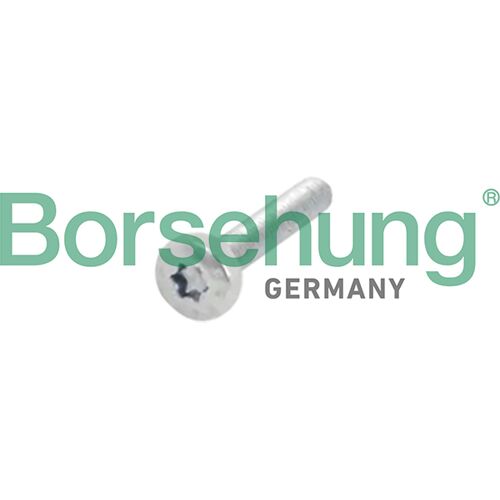 Borsehung Schraube, Zahnrad-Nockenwelle B10634 Für Skoda Vw Seat Audi N91097201