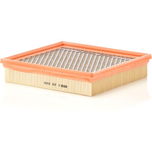 Mann-Filter Luftfilter C 22 029 Für Fiat Chrysler 04861688ab K04861688ab