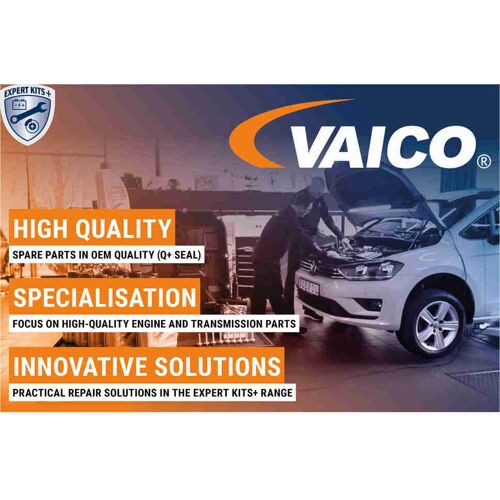 Vaico Kühlerschlauch V25-2566 Unten Für Ford Bk21-8c351-Ac Bk21-8c351-Ad Bk218c351ac