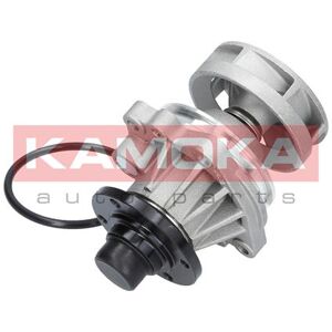 Kamoka Wasserpumpe T0059 Für Bmw Kamoka Wasserpumpe T0059 Für Bmw