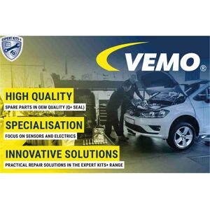 VEMO V46-92-0087 Hinterachse ABS Sensorring für Renault - 44 Zähne VEMO V46-92-0087 Hinterachse ABS Sensorring für Renault - 44 Zähne