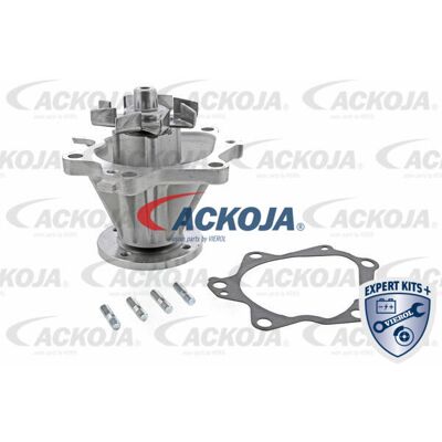 Ackoja A3850008 Wasserpumpe - Mechanisch, Metallflügel, mit Dichtung Ackoja A3850008 Wasserpumpe - Mechanisch, Metallflügel, mit Dichtung