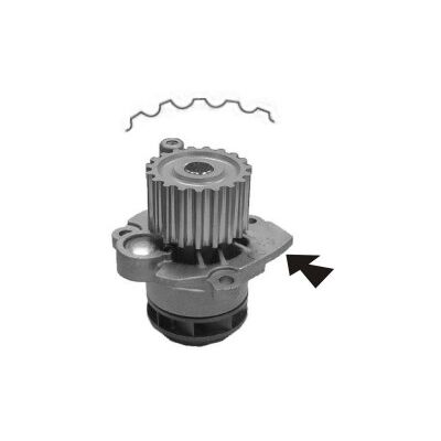 AIRTEX 1670 Wasserpumpe - 19 Zähne AIRTEX 1670 Wasserpumpe - 19 Zähne