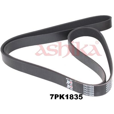 Ashika 112-7PK1835 Keilriemen - Keilriemen Ashika 112-7PK1835 Keilriemen - Keilriemen