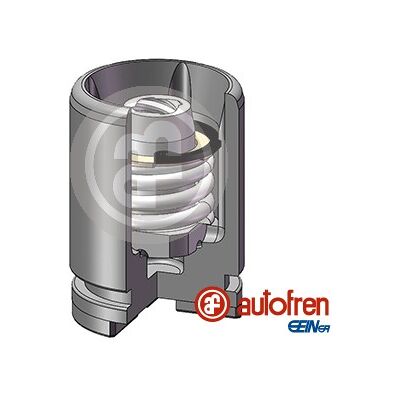 Autofren Seinsa D02526K Bremskolben für Hinterachse Autofren Seinsa D02526K Bremskolben für Hinterachse