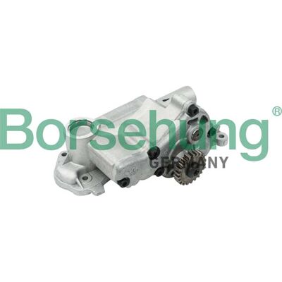 Borsehung B12698 Ölpumpe - Motorölpumpe für Audi, Seat, Skoda, VW Borsehung B12698 Ölpumpe - Motorölpumpe für Audi, Seat, Skoda, VW