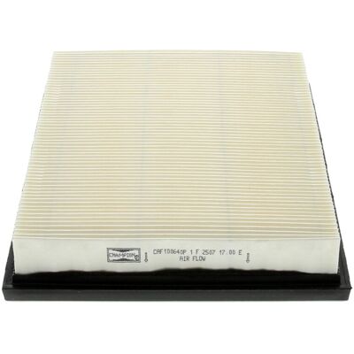 Champion CAF100640P Luftfilter - Motorschutz Champion CAF100640P Luftfilter - Motorschutz