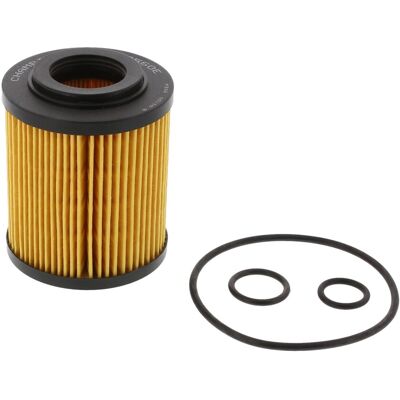 CHAMPION COF100560E Ölfilter - Filtereinsätze für Opel, Honda, Vauxhall CHAMPION COF100560E Ölfilter - Filtereinsätze für Opel, Honda, Vauxhall