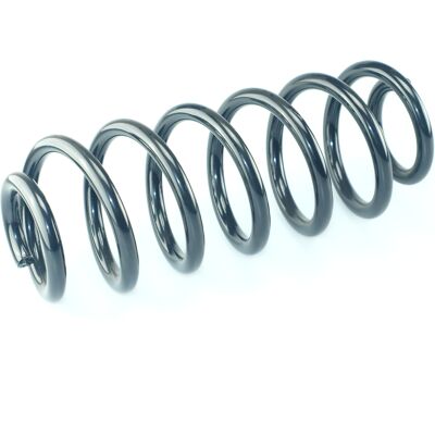 CS Germany Modell 14.950.317 Hinterachse Feder - Feder CS Germany Modell 14.950.317 Hinterachse Feder - Feder