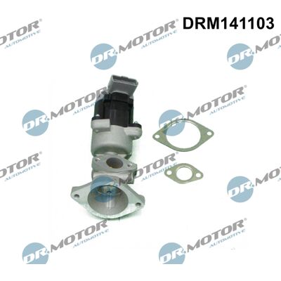 Dr.Motor Automotive DRM141103 Elektrisches EGR-Ventil für Land Rover LR009809 LR018323 Dr.Motor Automotive DRM141103 Elektrisches EGR-Ventil für Land Rover LR009809 LR018323