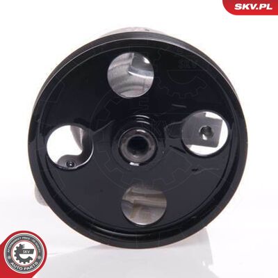 Esen Skv Hydraulikpumpe, Lenkung 10skv146 Für Renault Esen Skv Hydraulikpumpe, Lenkung 10skv146 Für Renault