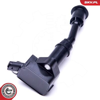 ESEN SKV 12V Zündspule für Ford - Modell DS7G12A366BB, DS7Z12029B - Elektrisch, 3 Kontakte ESEN SKV 12V Zündspule für Ford - Modell DS7G12A366BB, DS7Z12029B - Elektrisch, 3 Kontakte