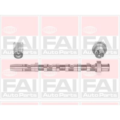 Fai Autoparts Nockenwelle für Audi A4 A6 A8 - Zylinder 1-3 Fai Autoparts Nockenwelle für Audi A4 A6 A8 - Zylinder 1-3