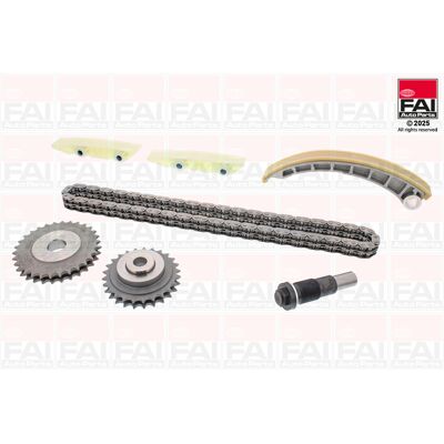 FAI AutoParts - TCK195NG Steuerkettensatz - Zahnräder für Citroën Fiat Peugeot FAI AutoParts - TCK195NG Steuerkettensatz - Zahnräder für Citroën Fiat Peugeot