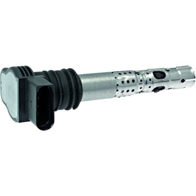 FACET 9.6329 Zündspule - Zündspule für Audi, Volkswagen, Seat, Skoda FACET 9.6329 Zündspule - Zündspule für Audi, Volkswagen, Seat, Skoda