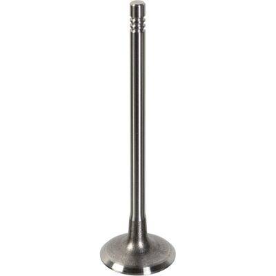 FEBI BILSTEIN 181647 Motorventil - Ventil, 28,3 mm - für Peugeot, Citroën FEBI BILSTEIN 181647 Motorventil - Ventil, 28,3 mm - für Peugeot, Citroën
