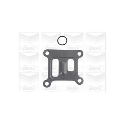 GRAF PA807 Wasserpumpe - Ford Transit Mk5 Van GRAF PA807 Wasserpumpe - Ford Transit Mk5 Van