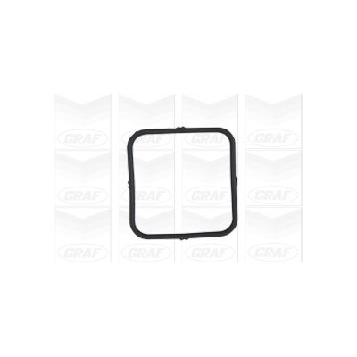 GRAF PA893 Wasserpumpe - Impeller 60mm, Gusseisen, Mechanisch - BMW Kompatibel GRAF PA893 Wasserpumpe - Impeller 60mm, Gusseisen, Mechanisch - BMW Kompatibel