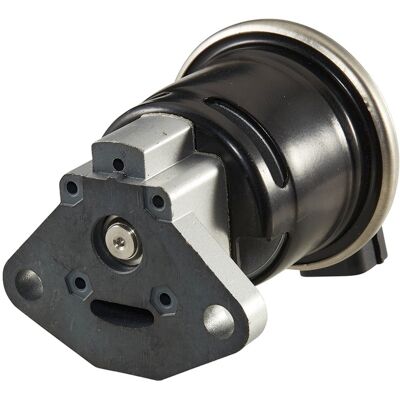 Hella 6NU 010 171-731 Elektrische AGR-Ventil mit Dichtung - EGR Hella 6NU 010 171-731 Elektrische AGR-Ventil mit Dichtung - EGR