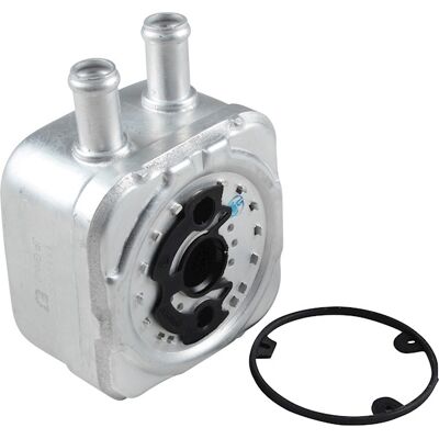 JP GROUP 1113500100 Ölkühler - Passend für VW, Audi, Seat, Ford JP GROUP 1113500100 Ölkühler - Passend für VW, Audi, Seat, Ford