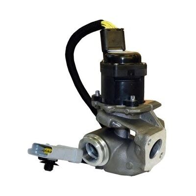 Magneti Marelli EGR-Ventil 571822112031 - EGR-Ventil Magneti Marelli EGR-Ventil 571822112031 - EGR-Ventil