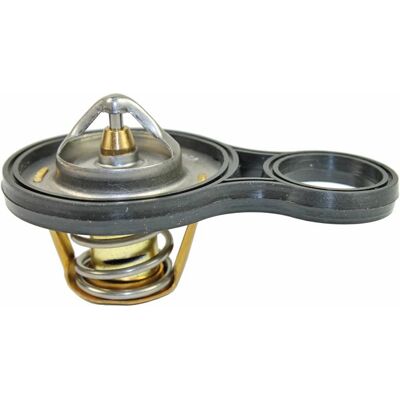 Metzger 4006093 Thermostat - Temperatur 91°C, Mit Dichtung für Mini Metzger 4006093 Thermostat - Temperatur 91°C, Mit Dichtung für Mini