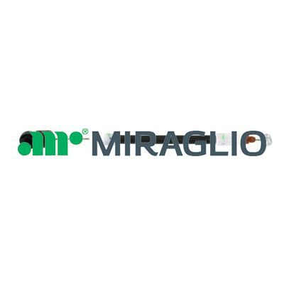 MIRAGLIO 80/720 - Elektrischer Türgriff für BMW X5 MIRAGLIO 80/720 - Elektrischer Türgriff für BMW X5