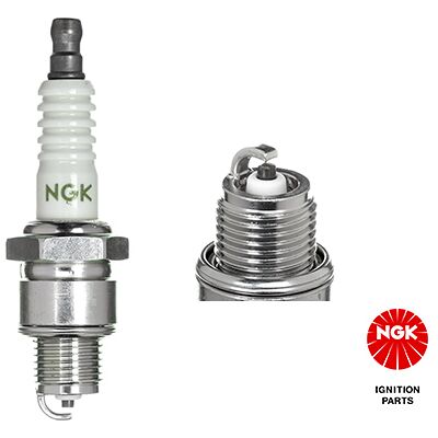 Ngk Zündkerze 4838 Für Mercury Ngk Zündkerze 4838 Für Mercury