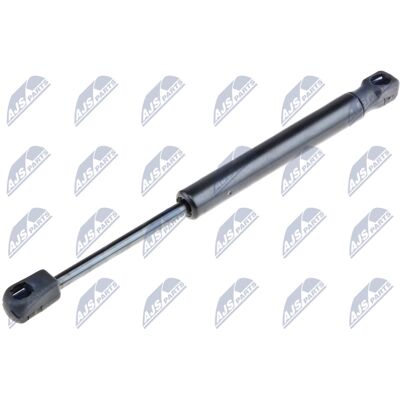 NTY Motorhauben-Lifter - AE-FR-037 NTY Motorhauben-Lifter - AE-FR-037