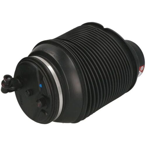 Luftfeder, Fahrwerk MAGNUM TECHNOLOGY MZT001MT