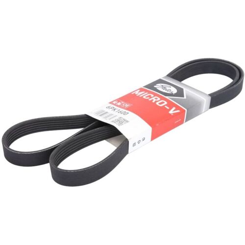 Keilrippenriemen GATES 6PK1600