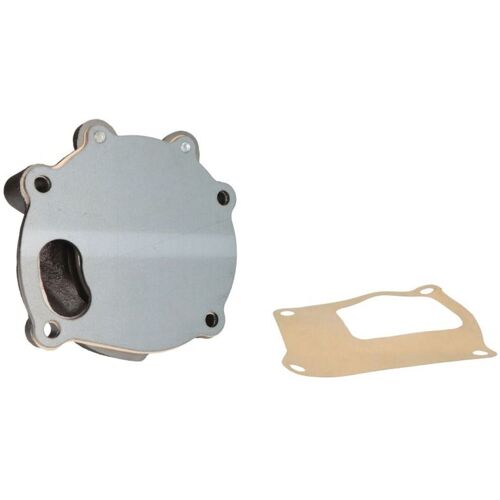 Wasserpumpe DOLZ DOLZ S239