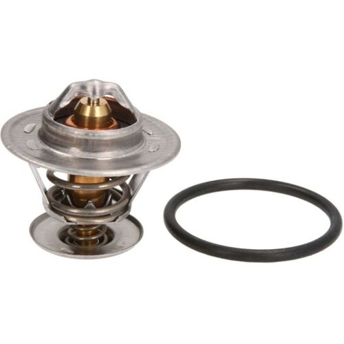 Thermostat, Kühlmittel CALORSTAT BY VERNET TH5151.87J