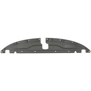BLIC Modell 6508-05-0941279P Vorder-/Heckplatte BLIC Modell 6508-05-0941279P Vorder-/Heckplatte