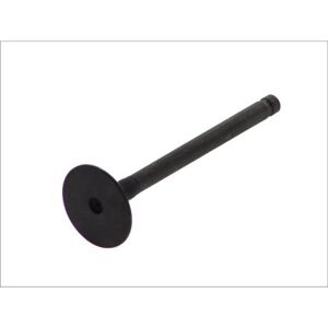 FRECCIA R4983/RNT Ventil - 45° Sitz, nitridierter Schaft FRECCIA R4983/RNT Ventil - 45° Sitz, nitridierter Schaft