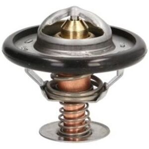 THERMOTEC D2C002TT Wasserthermostat - Autoersatzteil THERMOTEC D2C002TT Wasserthermostat - Autoersatzteil