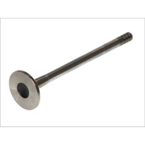 FRECCIA R4882/RCR Motorventil - Peugeot 206, 306, 106 FRECCIA R4882/RCR Motorventil - Peugeot 206, 306, 106