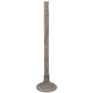 FRECCIA Ventil R6810/RNT - Ventil - 26mm Durchmesser - 45° Sitz - Stahl FRECCIA Ventil R6810/RNT - Ventil - 26mm Durchmesser - 45° Sitz - Stahl