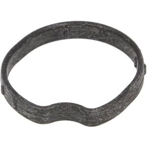 Dichtung, Thermostatgehäuse HANS PRIES 304 786 Dichtung, Thermostatgehäuse HANS PRIES 304 786