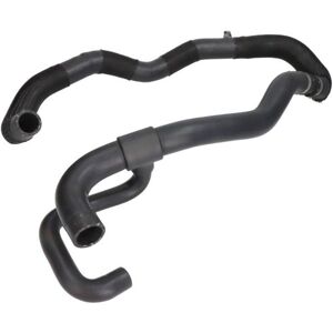 THERMOTEC DWR025TT - Kühlerschlauch für Renault Scenic 2 THERMOTEC DWR025TT - Kühlerschlauch für Renault Scenic 2